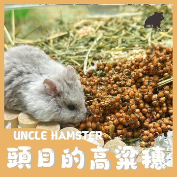 ｜勞叔 頭目的高粱穗｜科養豐榮 天然日曬 高粱米 高粱穗 黃金鼠 倉鼠 三線鼠 通心粉鼠 老公公鼠 鸚鵡 鳥飼料凱克鸚鵡