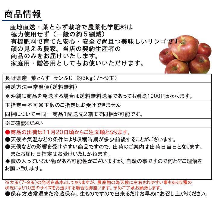 信州産 りんご 葉とらず サンふじ 約３kg（7-9玉）　送料無料 完熟 リンゴをお届けします。