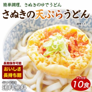 天ぷら一丁10食 天ぷらうどん 讃岐うどん 送料無料 （北海道・沖縄・離島 1500円） ご当地セット 産直 福袋  お中元 夏