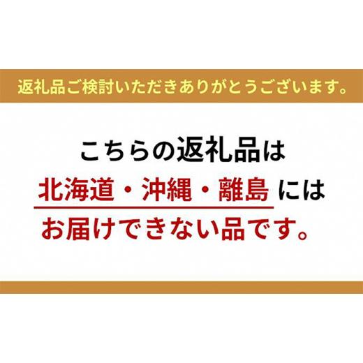 ふるさと納税 岡山県 瀬戸内市 桃 2024年 先行予約 岡山 白桃（晩生種）ご家庭用 約1.9kg 6〜9玉入り もも モモ 岡山県産 国産 フルーツ 果物 直送！せとうち…