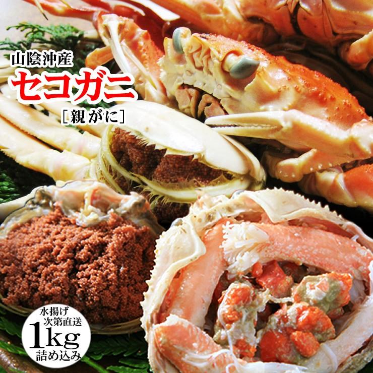 セコガニ 親がに 勢子がに 訳あり 生 1kgセット 5-8枚程度入 送料無料 山陰産  かに カニ 蟹