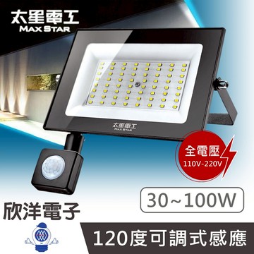 太星電工 LED感應 投射燈 30~100W 人體感應 感應燈 全電壓 探照燈 高亮度LED燈珠 節能環保 戶外照明燈
