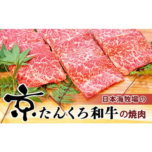 ふるさと納税 京都府 京丹後市 和牛焼肉／赤身の旨味 京たんくろ和牛の焼肉 京丹後市 焼肉 500ｇ（2〜3人前）  焼肉用 肉・赤身 焼肉 セット・和牛焼肉セット…