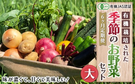 《有機JAS認証》オーガニック 季節のお野菜セット（大）定期便 6ヶ月連続 F21R-866