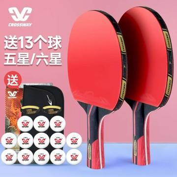 【店家優選】者套裝4四星6六星兵乓拍高彈力單拍橫直拍