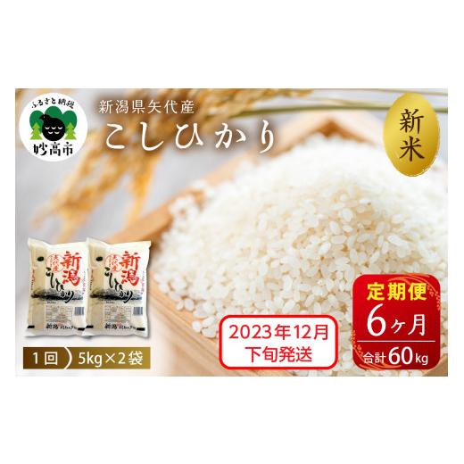 ふるさと納税 新潟県 妙高市 新潟県矢代産コシヒカリ10kg(5kg×2袋)×6回（計60kg）