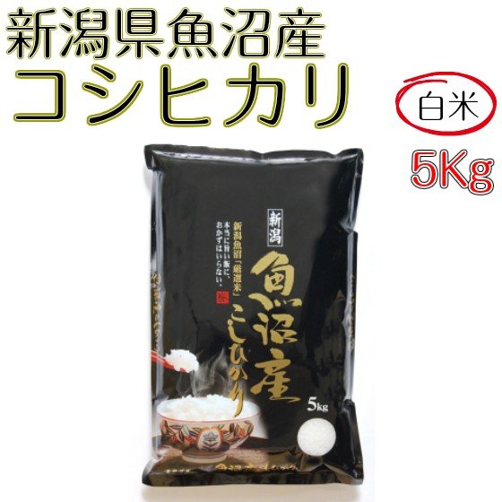 米 お米 白米 5kg コシヒカリ 新潟県 魚沼産 令和4年産 送料無料