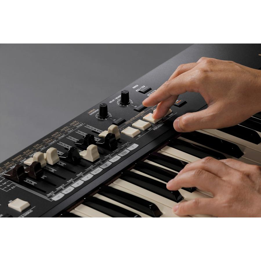 HAMMOND ハモンド   M-solo 49鍵盤ハモンド ドローバーキーボード(渋谷店)