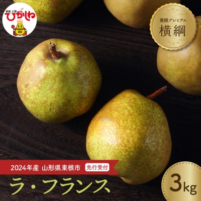 洋なし「ラ・フランス」3kg JA提供　hi003-110