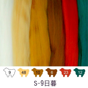 紐西蘭ASHFORD-可瑞戴爾羊毛[綜合包]S-09日暮色系 DIY手作/羊毛氈材料/文創