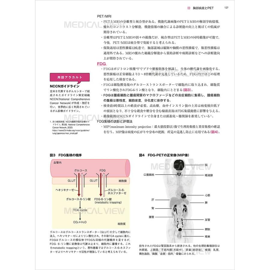 胸部 画像診断の勘ドコロNEO