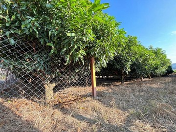 南投草屯土城段村莊旁4.5分農地｜南投縣草屯鎮土城段