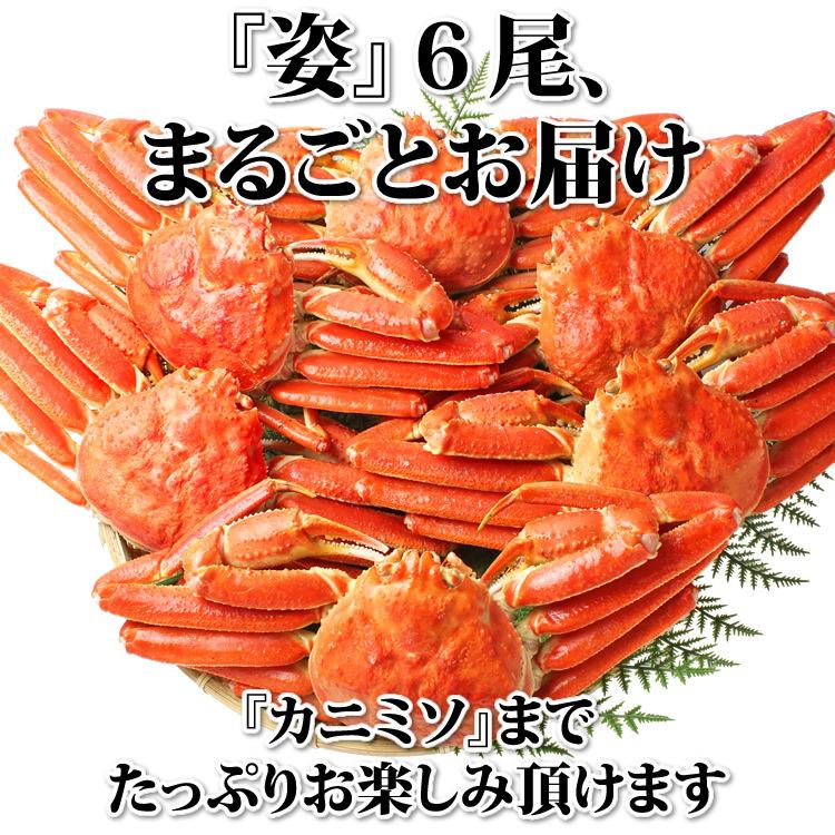 お歳暮 御歳暮 ギフト 2023 カニ かに 蟹 ずわいがに 姿 3kg (6尾入) 海鮮 ボイル 蟹 足 脚 グルメ ギフト 送料無料