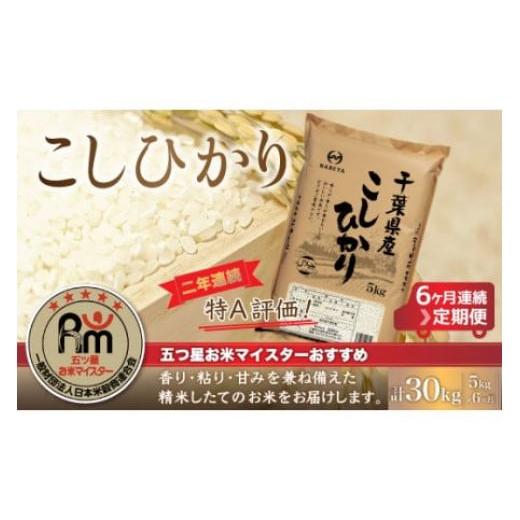 ふるさと納税 千葉県 大網白里市 ＜6ヶ月定期便＞2年連続特A評価！千葉県産コシヒカリ5kg×6ヶ月連続 計30kg ふるさと納税 米 お米 定期便 5kg 6か月 30kg 千…