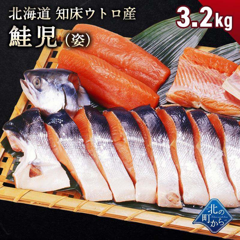 幻の鮭 鮭児 3kg前後 姿 北海道 知床ウトロ産 けいじ ケイジ 高級魚