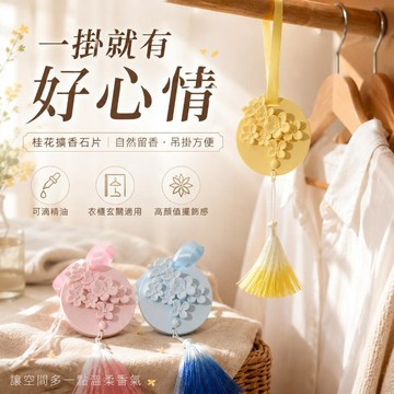 台灣出貨 衣櫃芳香片 衣櫃香氛片 香薰蠟片 衣櫃香薰片 房間香氛 擴香膏 香氛片 擴香片 車用芳香片 車內香氛片 香氛膏