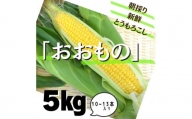 朝採り新鮮！とうもろこし「おおもの」5kg　10～13本入り