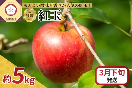  りんご 5kg 紅玉 青森