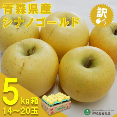 ふるさと納税 青森市 令和6年1月中旬より発送 訳アリ シナノゴールド5キロ箱 14〜20玉 津軽産直組合直送!