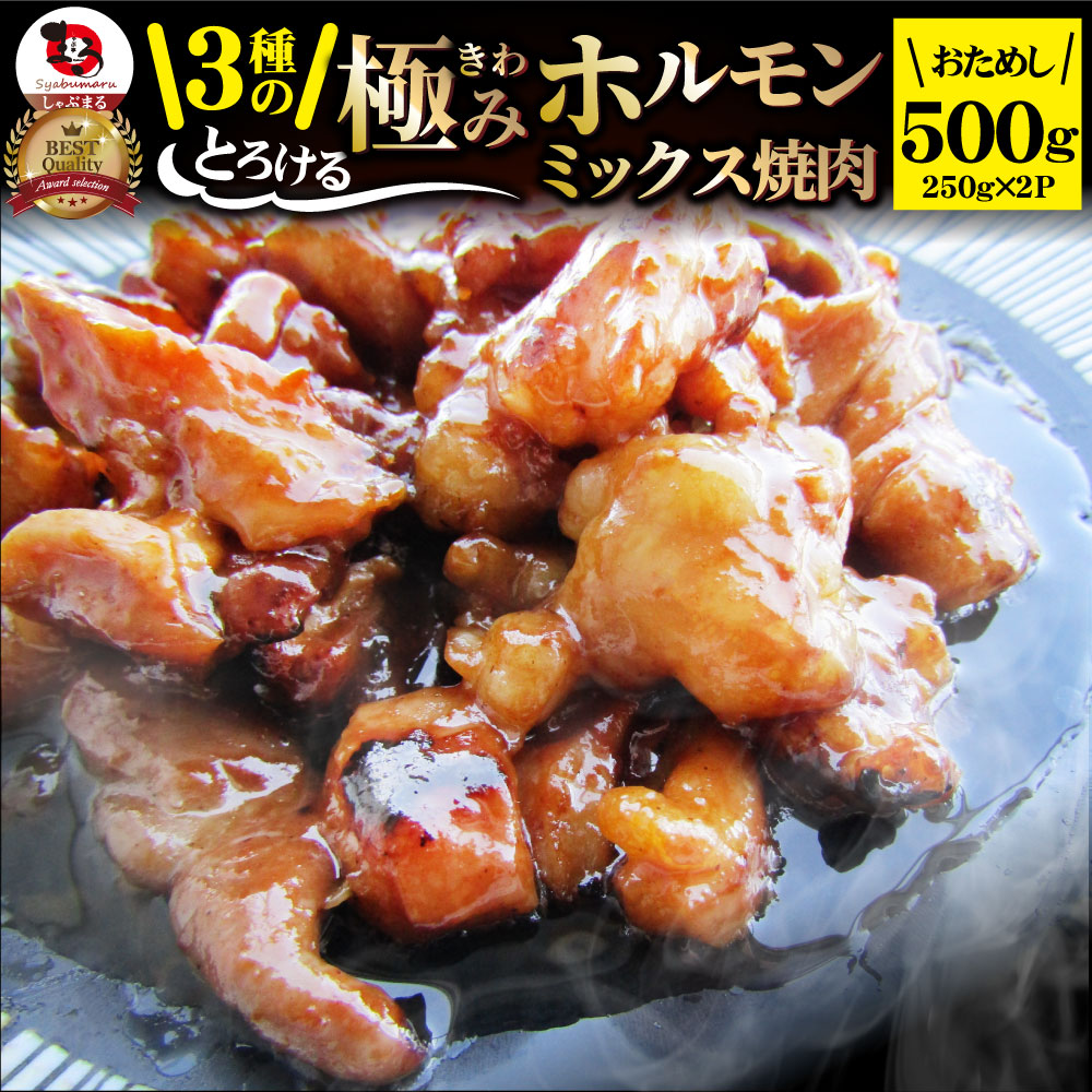 三種 ホルモン ミックス 焼肉 500g（250ｇ×2パック）