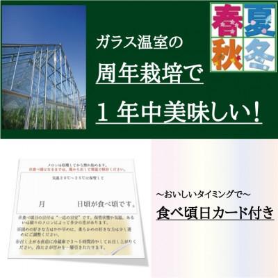 ふるさと納税 森町 クラウンメロン(白等級)2玉　ギフト箱入り