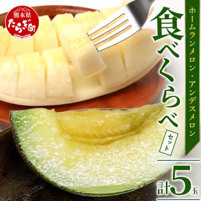 ふるさと納税 多良木町 熊本県産 ホームランメロン アンデスメロン 食べ比べ 計5玉 約5kg