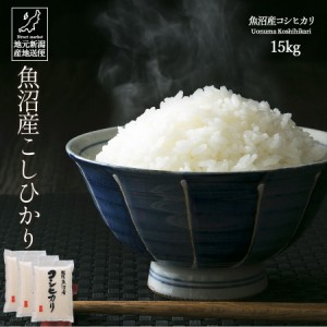 米 お米 15kg 安い 送料無料 新米 令和5年産 魚沼産 コシヒカリ こしひかり 白米 ギフト 贈答 お歳暮 お中元 父の日 母の日 敬老の日 【