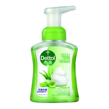 Dettol 滋潤蘆薈泡沫潔手液洗手乳(250ml)