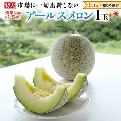  秋にお届け！  リピーター 多数 の 完熟 特大 アールスメロン １玉入箱 茨城 メロン 青肉 期間限定 数量限定 マスクメロン [AF087ci]