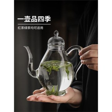 耐高溫高硼硅玻璃泡茶器泡綠茶專用茶具仿宋執壺女士高顏值煮茶壺