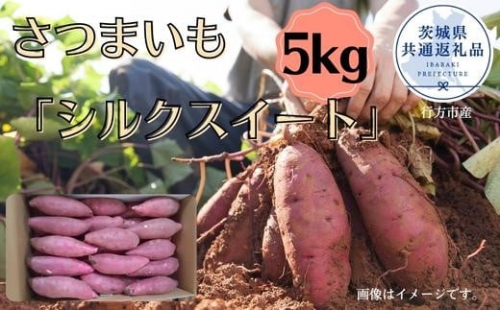 さつまいも「シルクスイート」5kg(茨城県共通返礼品・行方市産)