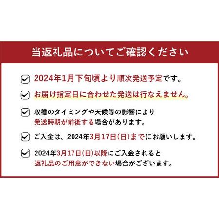 ふるさと納税 福岡県産 博多あまおう 約1.68kg (約280g×6パック入り) いちご 苺 ※北海道・沖縄・離島配送不.. 福岡県直方市