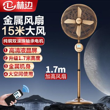 林邊落地扇金屬扇家用強力落地式電風扇遙控復古商務扇餐廳商務扇