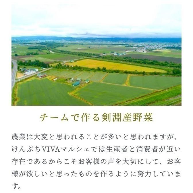 訳ありピルカ10キロ北海道剣淵町産じゃがいも