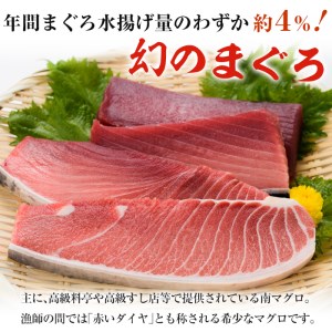 南マグロ味わいセット  南マグロ中トロ約200g 南マグロ赤身約200g