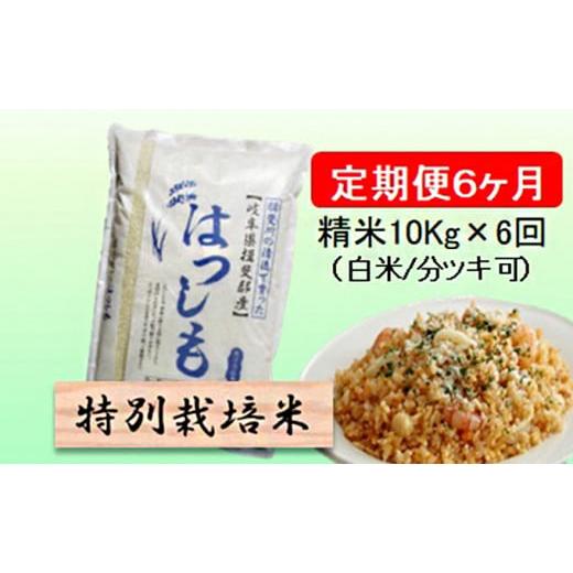 ふるさと納税 岐阜県 池田町 令和５年産　特別栽培米★[定期便] 6カ月★毎月 精米10kg（白米／5分／7分ツキ可）  玄米は別に出品 [No.5644-1162]