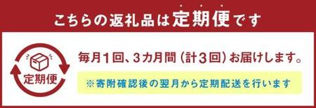 A5等級 博多和牛 ヒレシャトーブリアン  (200g×5枚)×3回 合計3kg