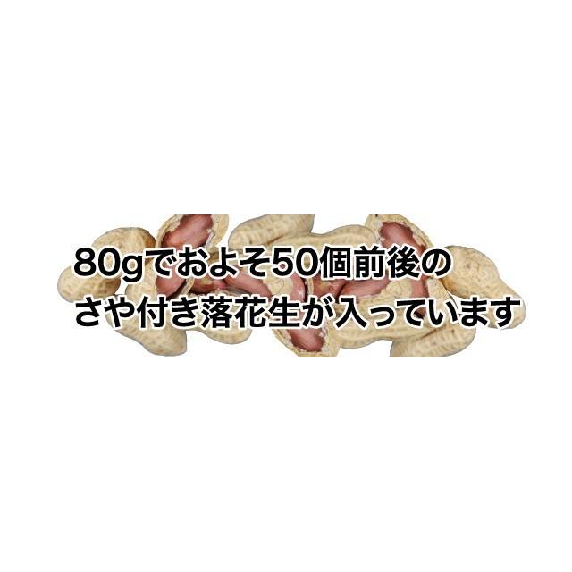 落花生 ピーナッツ 国産 無塩 ポイント消化 送料無料 80g サヤ付き(殻付き) 素煎り 希少 静岡遠州産