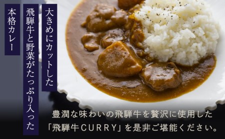 飛騨牛カレー10個セット カレー 本格　大きなお肉 レトルトカレー c517