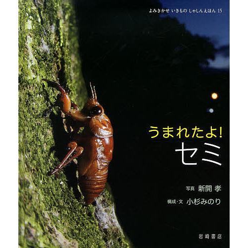 うまれたよ!セミ 新開孝 小杉みのり