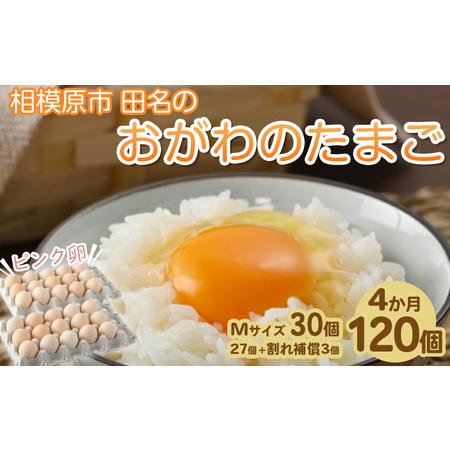 ふるさと納税 相模原市田名のおがわのたまご　ピンク卵 Mサイズ 30個(27個＋割れ補償3個)×4か月 卵 鶏卵 玉子 たまご.. 神奈川県相模原市