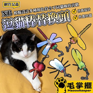 NB 網管昆蟲 逗貓棒替換頭 鈴鐺 羽毛 貓薄荷球 貓玩具配件 逗貓棒 替換頭 貓咪玩具 毛掌櫃寵物
