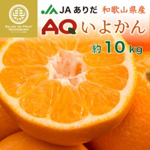 [予約 1月4日-1月31日の納品]  AQ いよかん 約10kg 和歌山県有田産 JAありだ 有田 AQみかん いよかん 伊予柑 柑橘 みかん 上級品