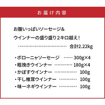 ふるさと納税 29199A_お腹いっぱいソーセージ＆ウインナーの盛り盛り２キロ越え！・通 大分県国東市