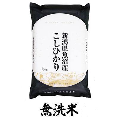 ふるさと納税 十日町市 2024年1月発送開始『定期便』魚沼産コシヒカリ　無洗米5kg全12回