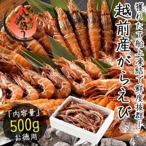 越前産 がらえび 500g（約35尾入り）ガラエビ 刺身用 贈り物 ギフト グルメ プレゼント 産地直送 お刺身  冬グルメ 冬ギフト