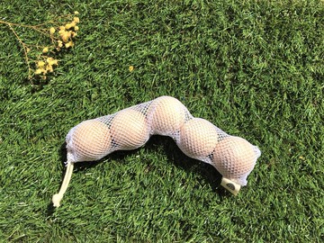 一郎木創 / 檜木丸球