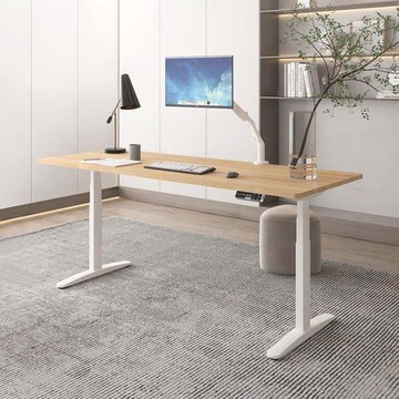 Flexispot | 三節電動升降桌組(120x60cm)【升級款-磁吸收納型】