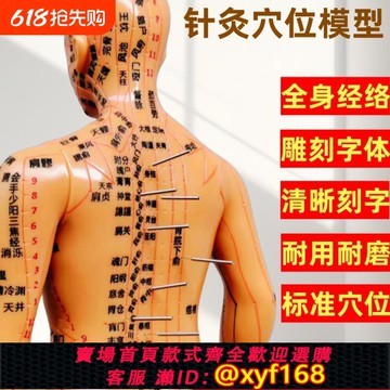 {可打統編 保固一年}針灸穴位人體模型中醫經絡小銅人十二男女全身人標準練習手臂按摩