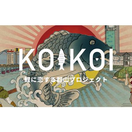 ふるさと納税 骨までやっ鯉 鯉カレー4点セット 福島県郡山市